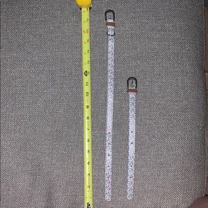 Paw pal dog collar and bracelet